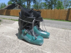 DALBELLO Polyvalentes