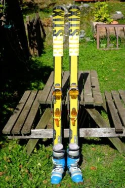 Fischer Big Stock 170