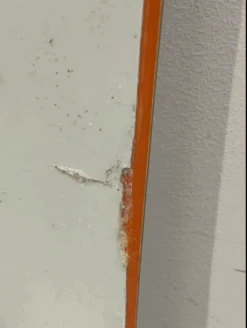 Bataleon Magic Carpet 156 -Camp Sider Soldes 27