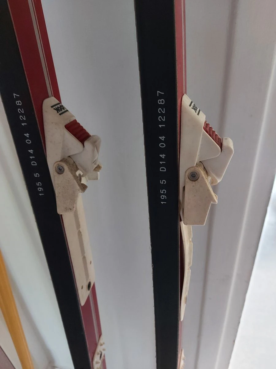 DYNASTAR Vintage 2 DYNASTAR Vintage – Image 2