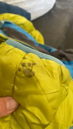 Dynafit Radical -Camp Sider Soldes 4 155