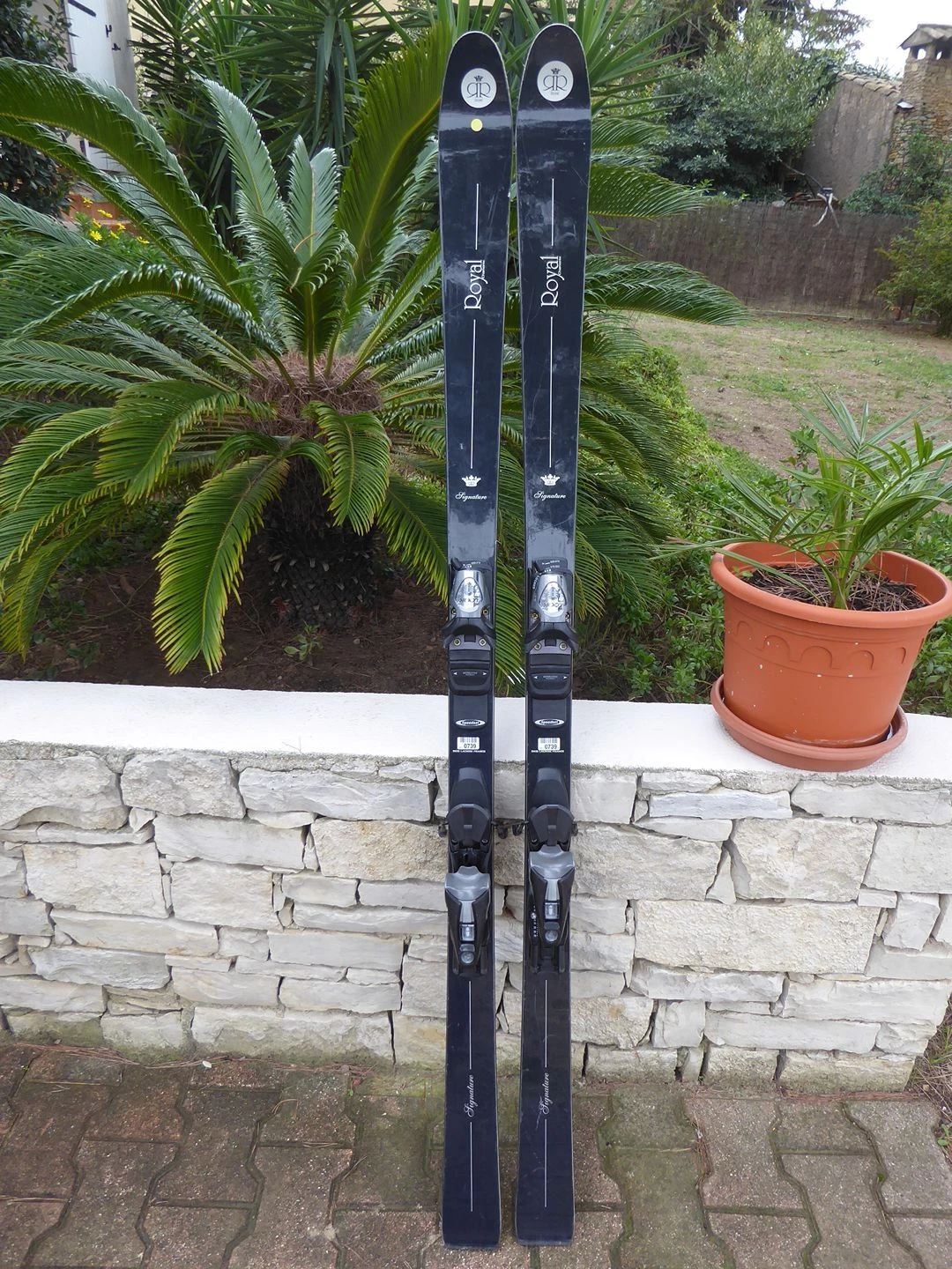 Signature 1 Signature